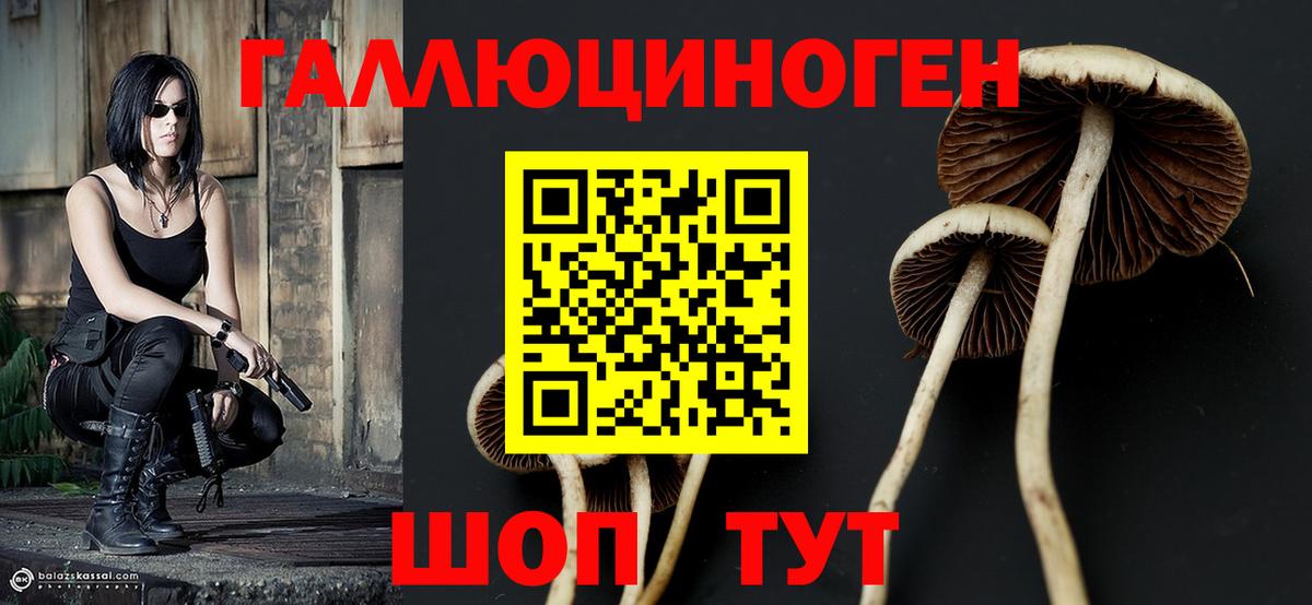 Королёв  Галлюциногенные грибы ЛСД  Галлюциногенные грибы Cubensis  Вход с VPN 